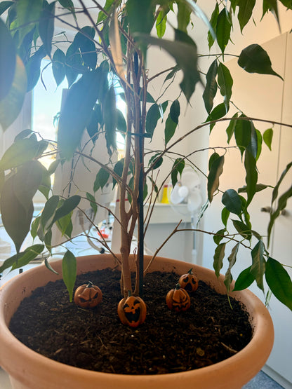 Halloween 2 Model Pumpkin - Set of 6